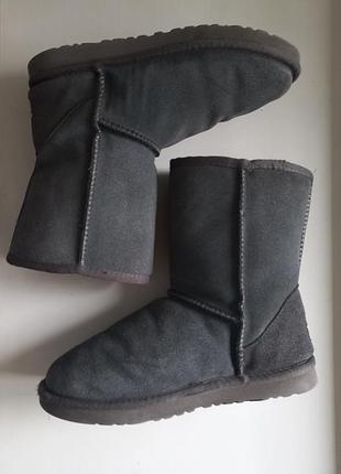 Уггі жіночі ugg сірі 3