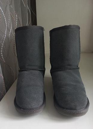 Уггі жіночі ugg сірі 4
