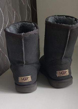 Уггі жіночі ugg сірі 5