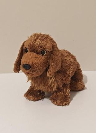 Ty "seadog" newfoundland dog  2001-2002 mismatched tag error  tag shield