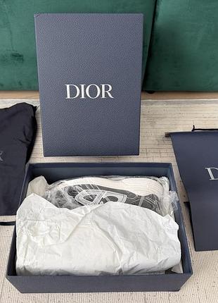 Кросівки чоловічі christian dior