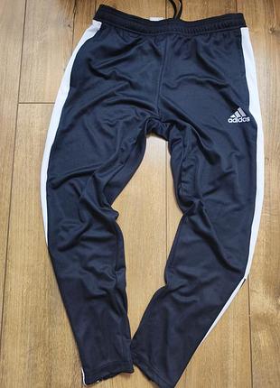 Спортивні штани adidas
