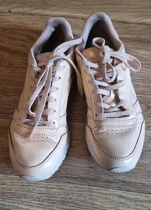 Кросівки жіночі reebok classic leather бежеві