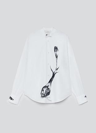 Сорочка жіноча біла zara new