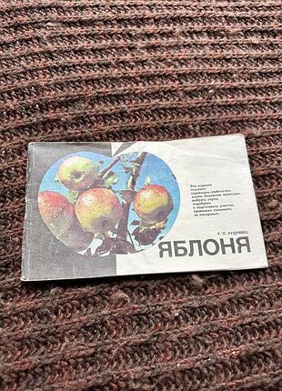 Роман петрович кудрявец  яблоня