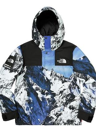 Куртка supreme x tnf mountain 4