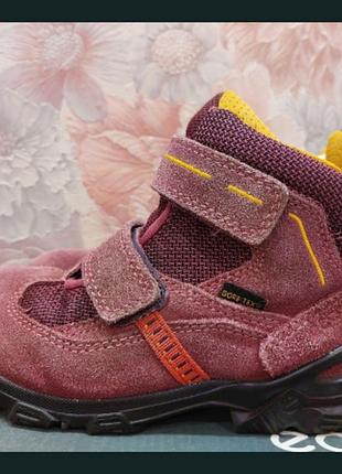 Черевики дитячі унісекс ecco snowboarder gore-tex рожеві