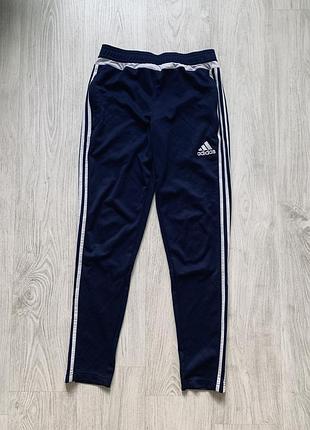 Спортивні штани adidas climalite сині