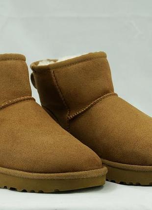 Ugg eu 36 | класичні міні-уггі chestnut
ugg classic mini boots 36