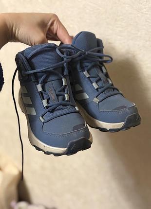 Кросівки adidas демісезонні сині