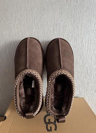 Ugg tazz, уггі, угги 4