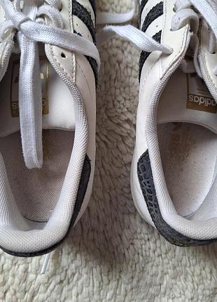 Кроссовки adidas 6