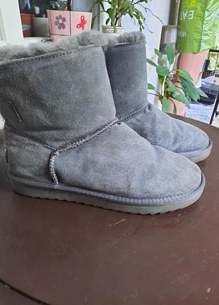 Продам зимние кожаные l.m. ugg,40p
