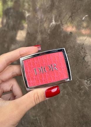 Рум'яна christian dior 2