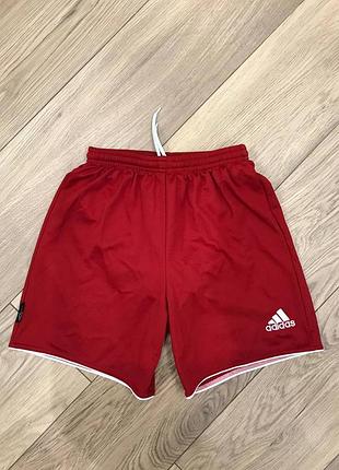 Спортивні шорти adidas climalite