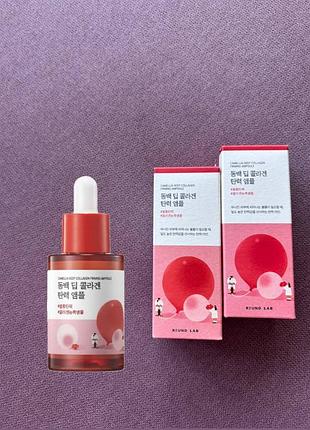 Round lab camellia deep collagen firming ampoule30ml  сироватка для пружності шкіри з колагеном