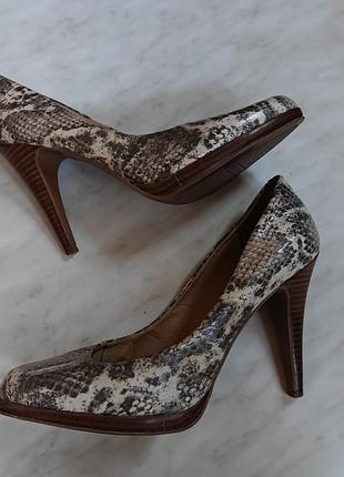 Жіночі зміїні туфлі-човники nine west