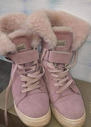 Кросівки жіночі ugg рожеві