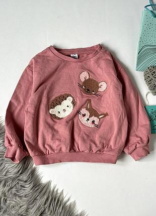 Кофта, свитшот little kids 4-5 лет, 110 см