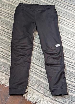 The north face дитячі спортивні штани