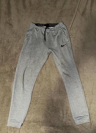 Чоловічі спортивні штани nike сірі