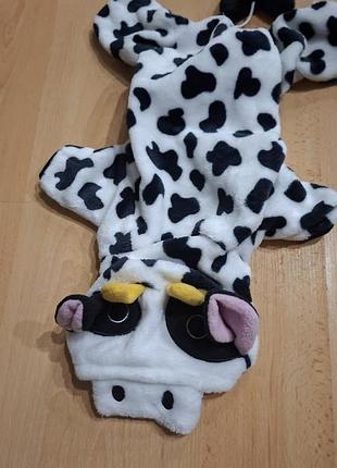 Костюм для собачки 4