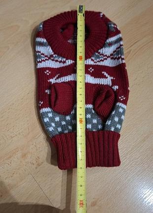 Костюм для собачці 2