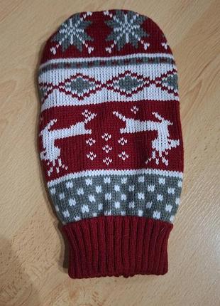 Костюм для собачці 8