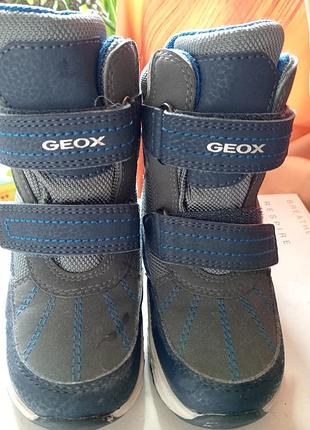 500грн,24 размер,geox 3