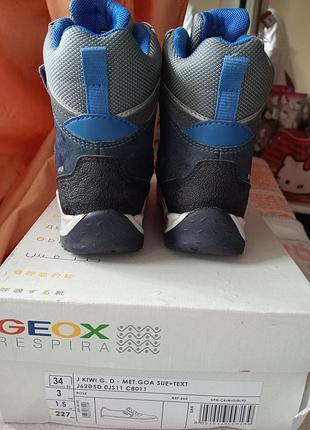 500грн,24 размер,geox 4