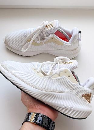 Женские кроссовки adidas alphabounce+ 3