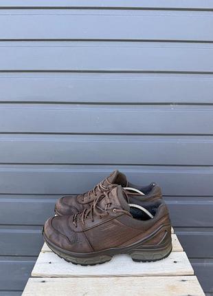 Кросівки lowa walker gore tex