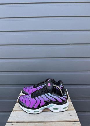 Кросівки nike air max plus tn