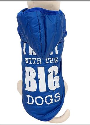 Жилетка для собак з написом big dogs