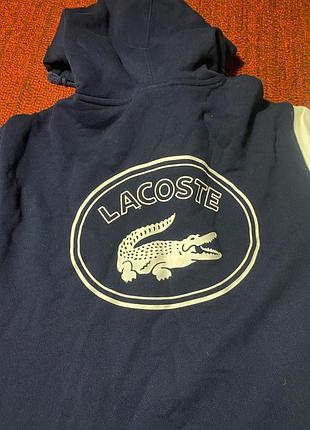 Чоловіче худі lacoste  live 3
