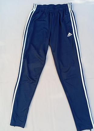 Спортивні штани adidas