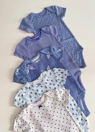 Боді для дівчинки з коротким рукавом 🦋  carter's
