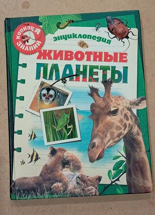 Дитячі енциклопедії енциклопедія тварини планети