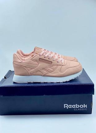 Кроссовки reebok classic женские рибок класик бежевые женские кроссовки рибок класик кожа