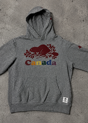 Оригинальное серое худи администраторs is canada