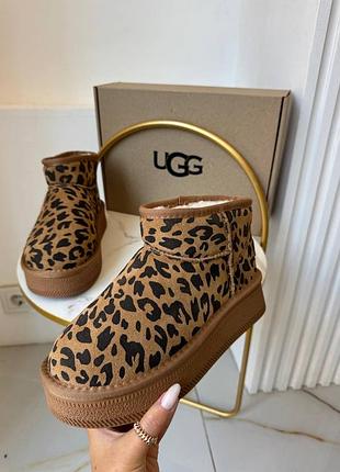 Трендові ugg 🐆 3