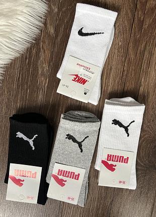 Стильні високі брендові спортивні шкарпетки носки puma найк коттон бавовна