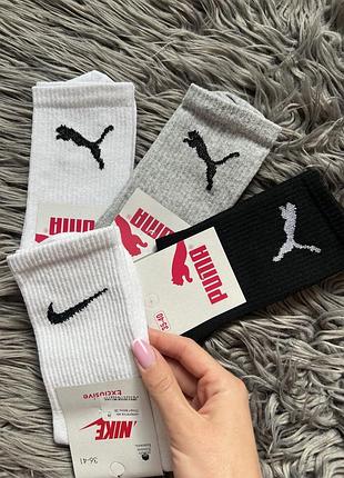 Стильні високі брендові спортивні шкарпетки носки puma найк коттон бавовна