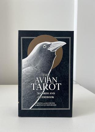 Avian tarot
