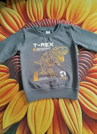 Детская одежда 🌈 кофта свитшот t-rex на мальчика 4-5 лет 110 размер