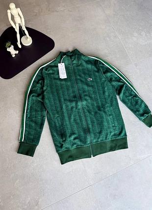 Мужская зипка кофта олимпийка на замке lacoste green