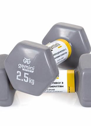 Гантели gemini sport для фитнеса с виниловым покрытием 2шт по 2.5кг gsd-2.5gray