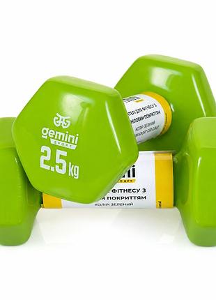 Гантели gemini sport для фитнеса с виниловым покрытием 2шт по 2.5кг gsd-2.5gr