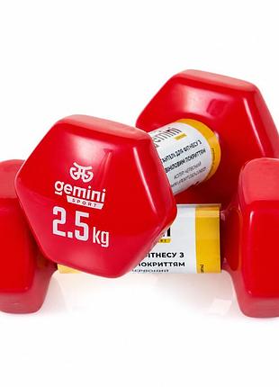 Гантели gemini sport для фитнеса с виниловым покрытием 2шт по 2.5кг gsd-2.5red