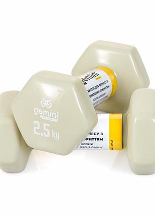Гантели gemini sport для фитнеса с виниловым покрытием 2шт по 2.5кг gsd-2.5milk